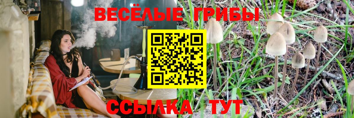 Псилоцибиновые грибы прущие грибы  Вход с VPN  Казань 