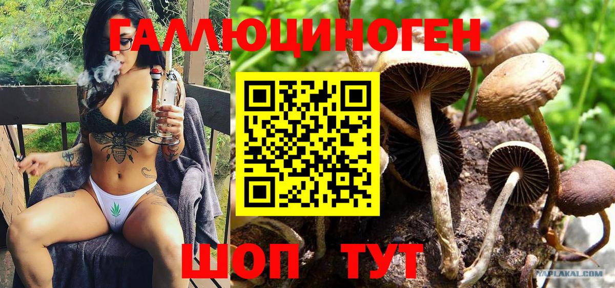 Псилоцибиновые грибы прущие грибы Казань